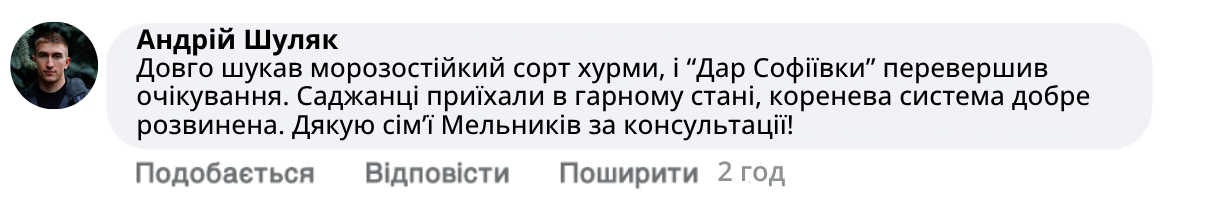 Заголовок